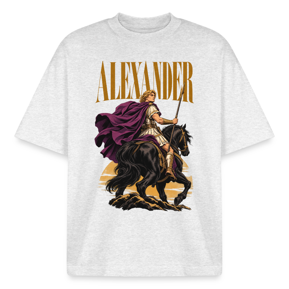 Alexander and Bucephalus graphic tee in cool heather grey